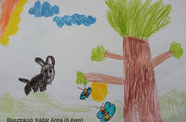 Kádár Anna (6 éves)