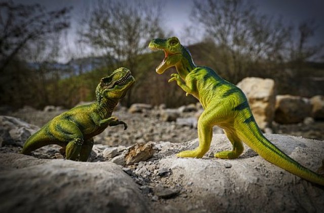 A dinoszaurusz könnyei
Millió és millió évvel ezelőtt , Észak-Amerika hatalmas erdejében élt egy kis T-Rex dinoszaurusz, akit Marunak hívtak. Már fiatal korában is akkora volt, mint egy terepjáró.
Maru időnként szom...