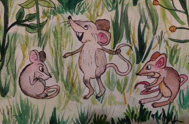 Trifán – Radics Bettina
Herceg, a kisegér
Szép, napos, meleg idő köszöntötte az erdő népét.Futkostak a mezei egerek szerte szét.Játszottak a kis állatok mind.A három egérfivér bújócskázott odakint.
Mindenikne...