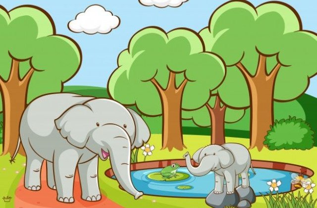 Még kicsi volt az elefánt,
amikor mamája őt a tóhoz vitte,
örül majd a fáncsija,azt hitte!
Béka Berci már a tóban volt,
gyere kicsi fáncsi úszkálni,
szólt oda neki.
Milyen szép,tavirózsa,csodállta 
a fáncsi,s hops...