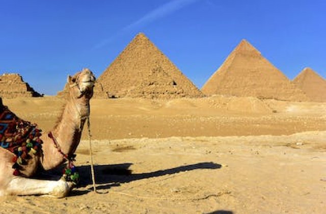 A teve árnyéka
Élt egyszer egy kis teve az egyiptomi piramisok lábánál. Mivel kisebb volt tevetársainál, gazdája leginkább arra használta, hogy a piramisokat meglátogató gyerekeket lovagoltatta vele.  A kis...