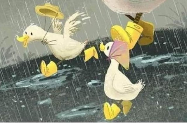  
 
Kell ám az esernyő,
hiszen esik,de kacsa mama
ennek örül,s nagy sétát 
tart az ólja körül.
 
Kicsi kis kacsájára kendőt
s csizmát ad, aztán irány 
a sáros zuhatag,mert ők
a vizet szeretik....