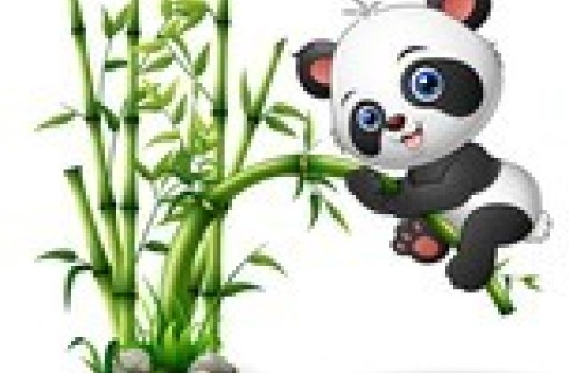  
 
Bambusz erdő közepén,
a kis panda,ott nődögél,
kicsi bambusz kicsi szára,
megmászom őt,délutánra.
 
Kapaszkodik a kis panda,
s már majdnem fent van,de
elhajtott a bambusz szára,
s ül rajta így hintázva.
 
Kicsi panda,kicsi bambusz,
jaj,a...