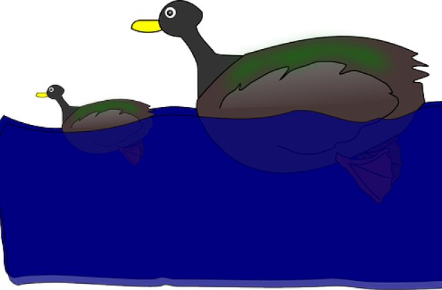 Tó színe zöld üde habokon vár
tíz kacsa benne ma ladikon jár
hápogi lábai pihenőben
kis kacsa téved el a mezőben.
 
Tíz kacsa fordul a keresésre
kis ladik úszik a tó vizére
kiskacsa hápog a réti fűb...