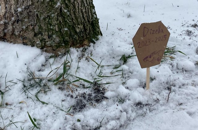 Ott voltam a házban. Ott voltam, mikor kivettek egy dobozba, és mentünk a szokásos útra. Tudok élni dobozban, hörcsög vagyok, és a hörcsög pici áll...