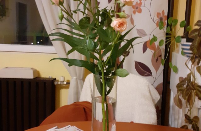 Mese egy bátor kisfiúról. Endrének - szeretettel Csupitól. Egyszer volt, hol nem, Álomországban nagyon nagy készülődés volt. Egy csuda kedves kisfi...