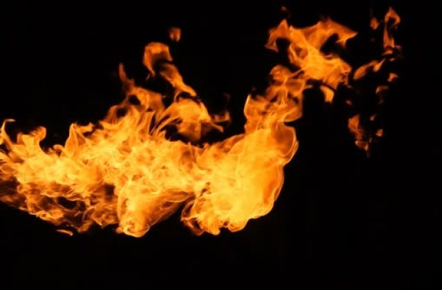 Liliomvölgyön túl, a Kopasz-hegyen innen, volt egy csodálatos erdő. Itt élt a vén tölgyfa. Nagy tisztelet övezte. Minden este köré gyűltek az ott é...