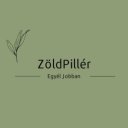 Zöld_Pillér, Amatőr író, meseíró